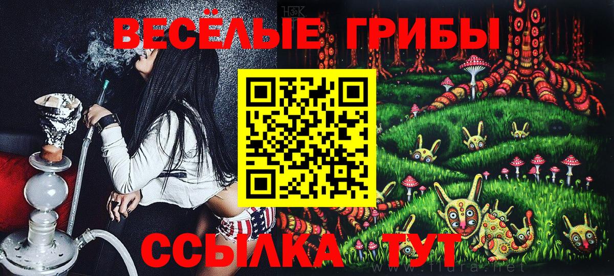 Галлюциногенные грибы MAGIC MUSHROOMS  Вход с VPN  Малоярославец 